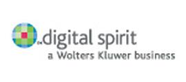 Logo digital spirit GmbH